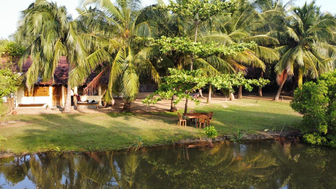 Kite House Cafe Bed & Breakfast Калпития Екстериор снимка